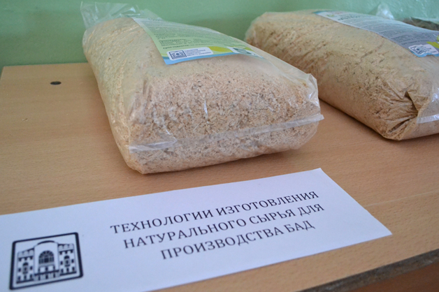 Изображение новости: Студенты и преподаватели Державинского университета обсудили проблемы изучения лесной экологии