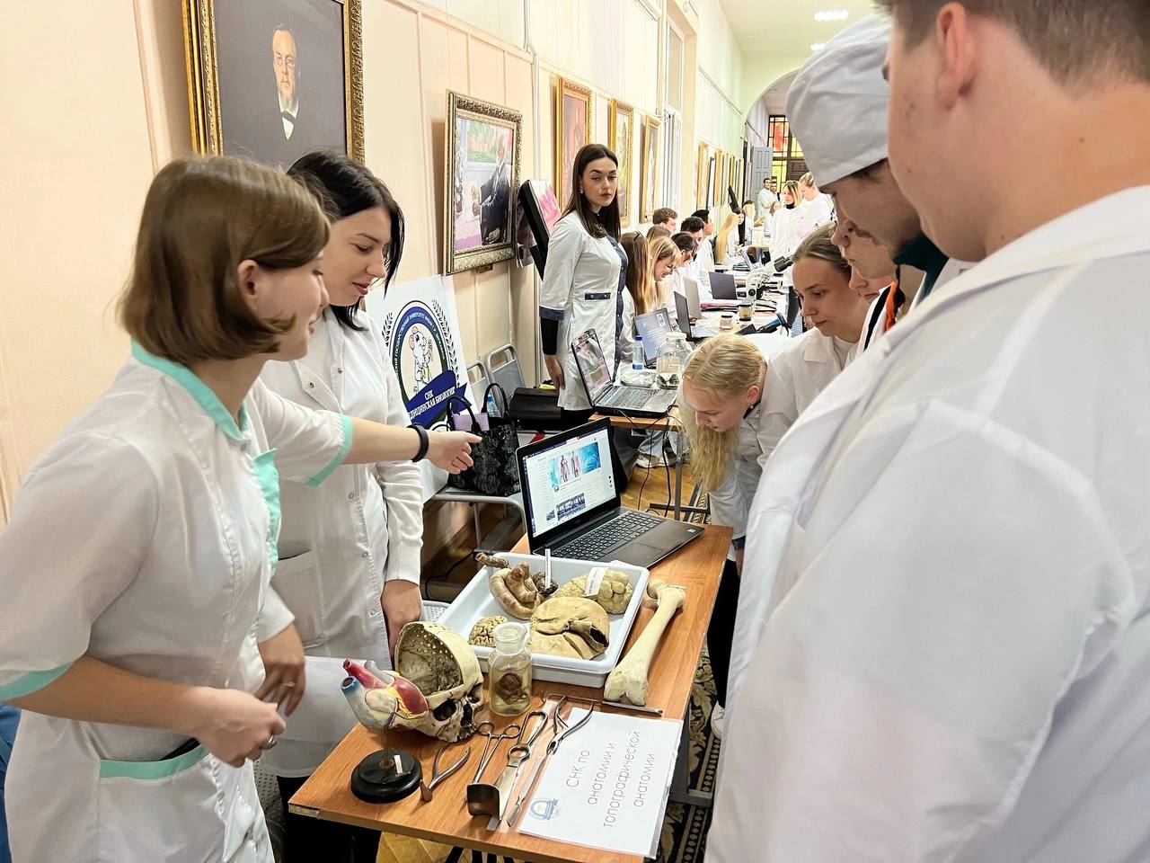 Изображение новости: Первокурсники Державинского познакомились с возможностями реализации себя в университетских научных кружках 