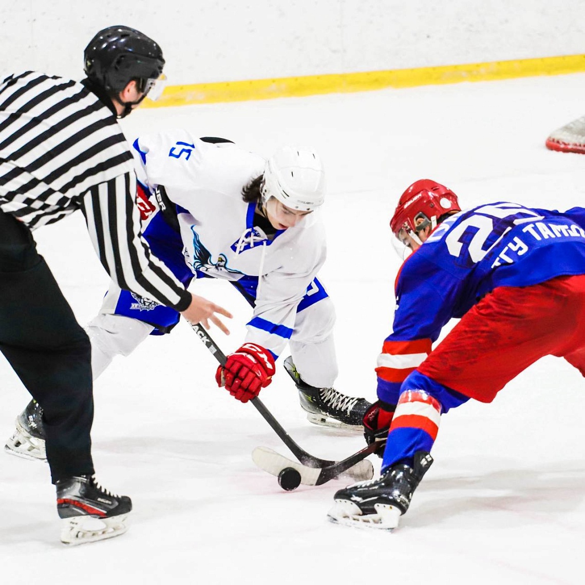 Хоккейный клуб «Держава» – бронзовый призер «Кубка регионов СХЛ» (зона Черноземье) фото детальные