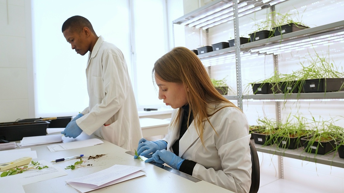 Ученые Державинского подтвердили эффективность разработанного прототипа «умного» нанопрепарата для защиты растений фото детальные