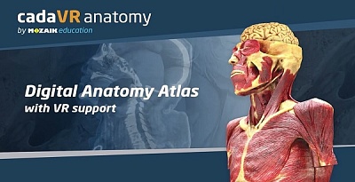Изображение Тестовый доступ к 3D-атласу сadaVR anatomy (20.10.2025 – 19.11.2025 г.)